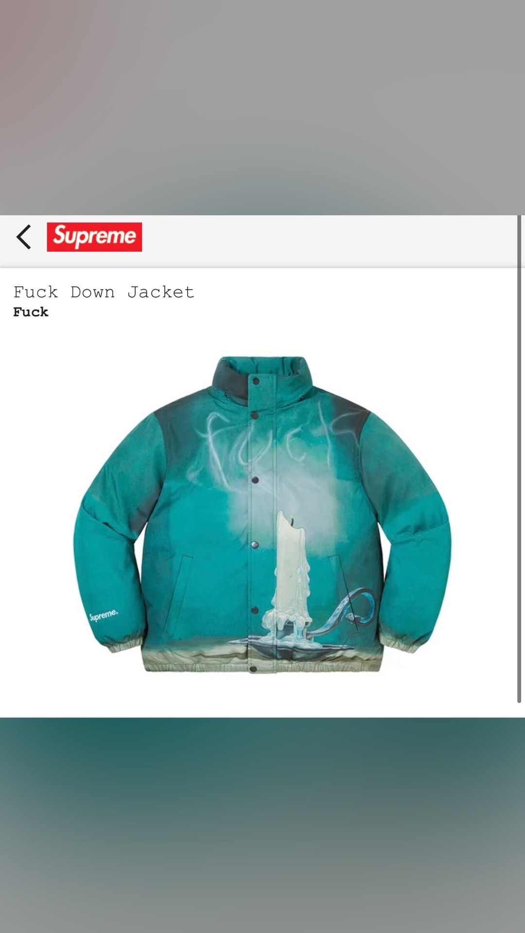 Supreme fuck down jacket
