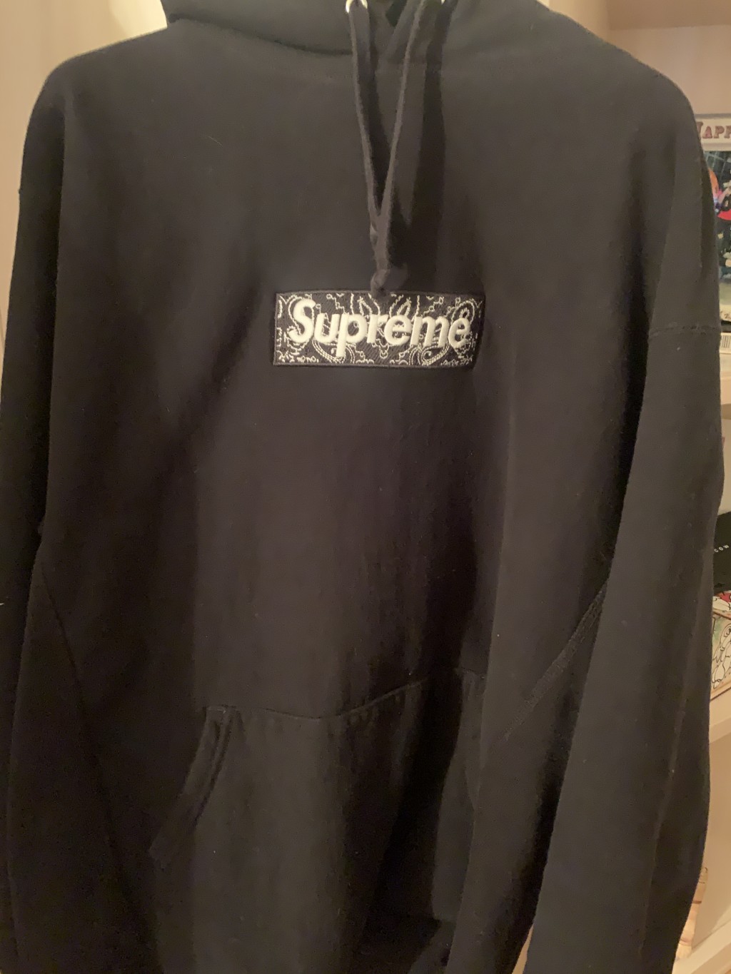 Supreme Bandana Box Logo hoodie